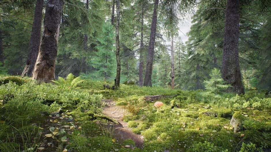 Скриншот 4 из Out of the Woods
