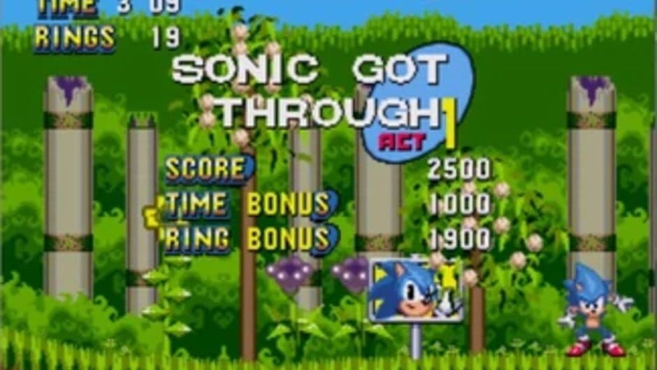 Скриншот 2 из Sonic & Ashuro