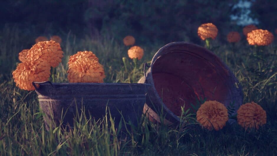 Скриншот 2 из Petals