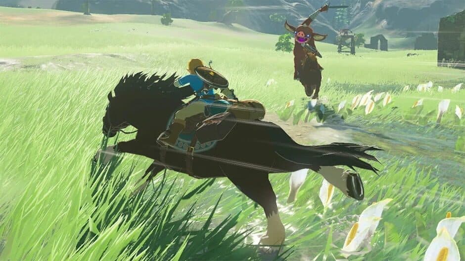 Скриншот 1 из The Legend of Zelda: Breath of the Wild - Starter Edition