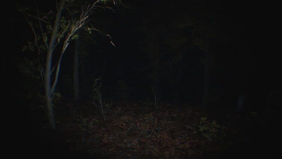 Скриншот 4 из Paranormal Tales