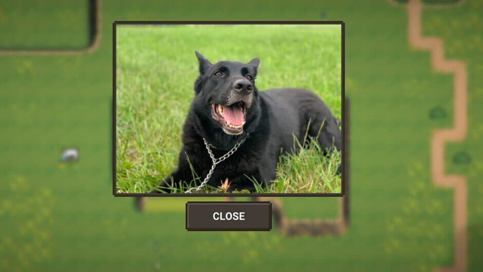 Скриншот 3 из A Walk With My Dog