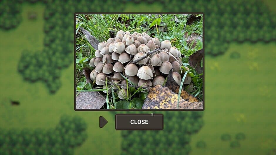 Скриншот 9 из A Walk With My Dog
