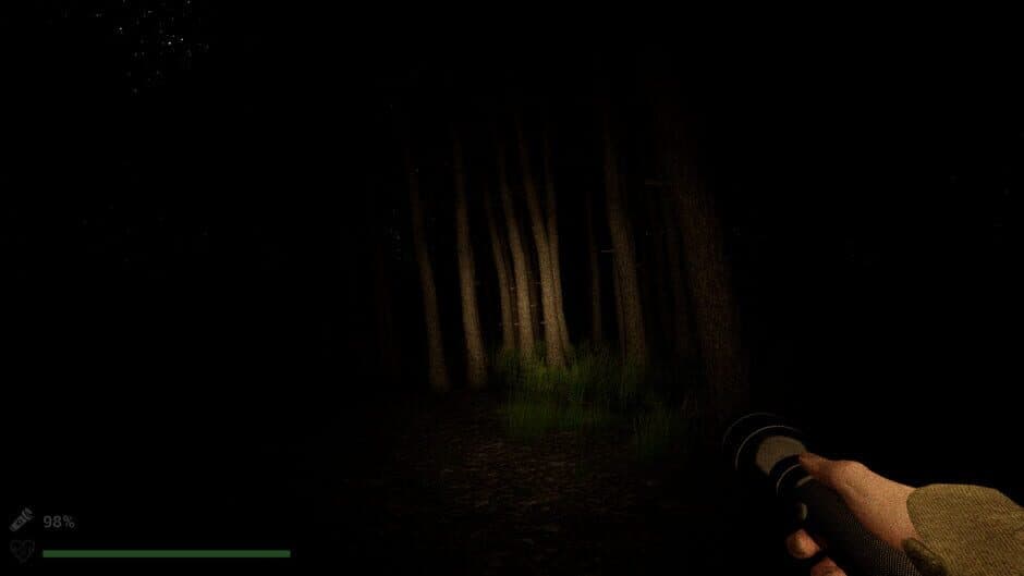 Скриншот 2 из Park Ranger: Lost in the Woods