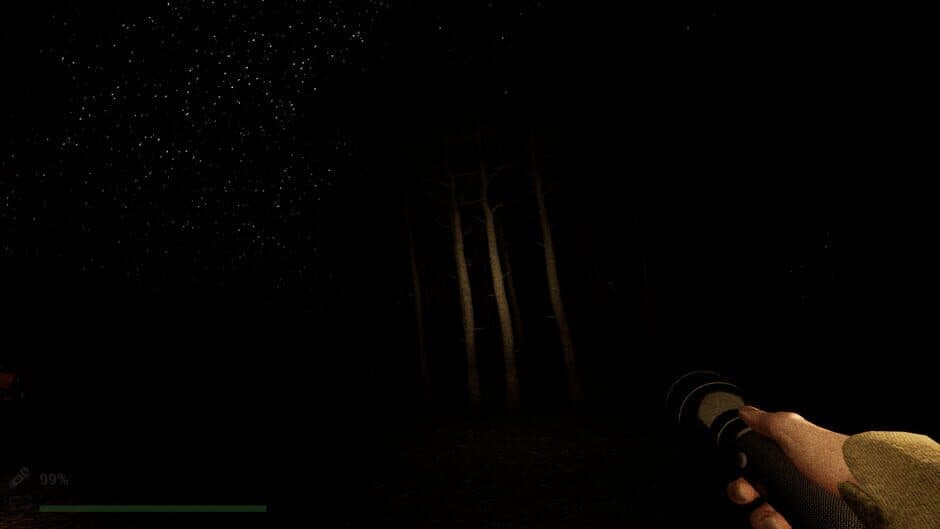 Скриншот 8 из Park Ranger: Lost in the Woods