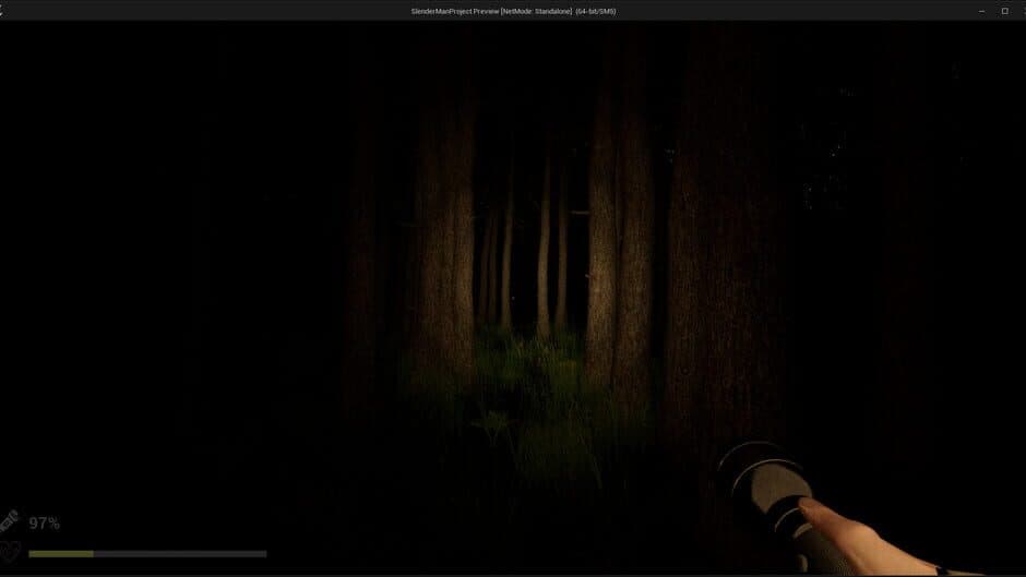 Скриншот 5 из Park Ranger: Lost in the Woods