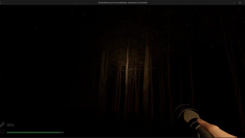 Скриншот 3 из Park Ranger: Lost in the Woods