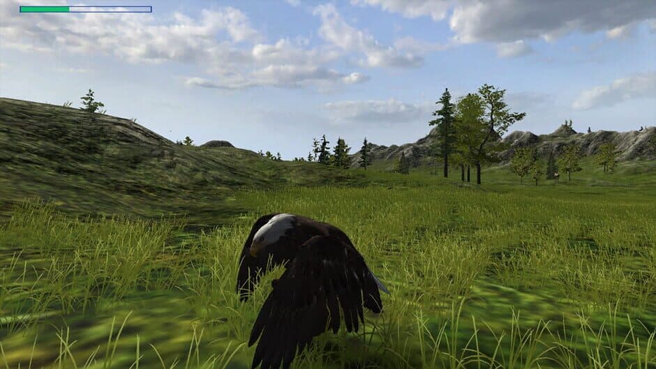 Скриншот 6 из Eagle Hunting Journey