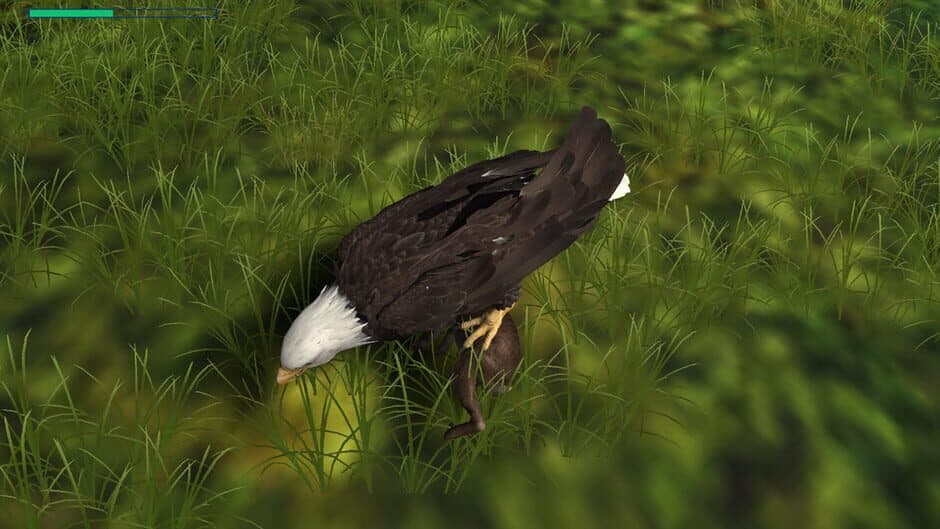 Скриншот 1 из Eagle Hunting Journey