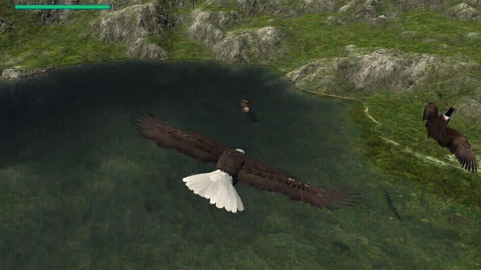 Скриншот 3 из Eagle Hunting Journey