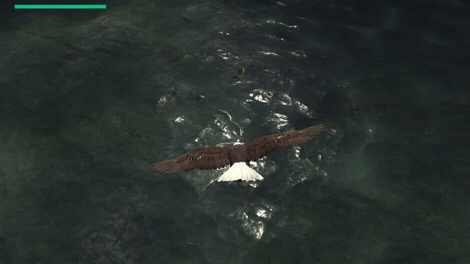 Скриншот 5 из Eagle Hunting Journey