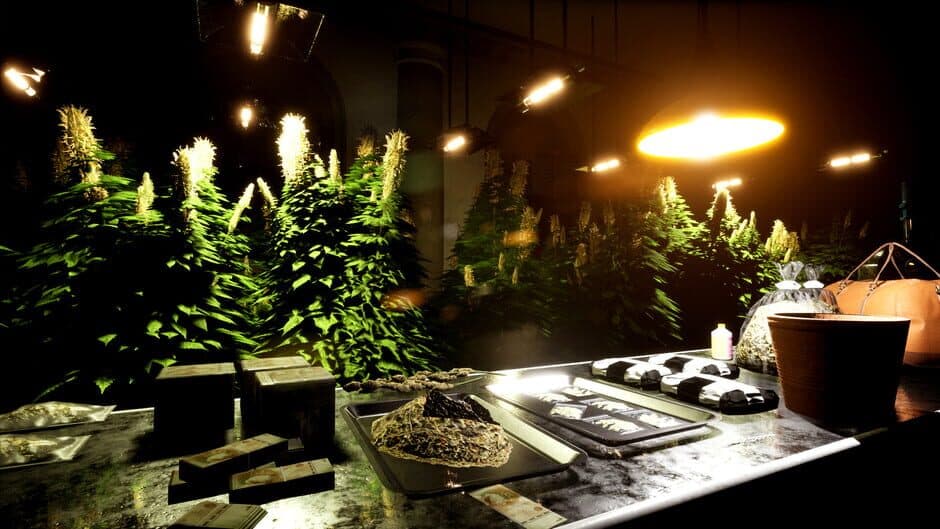 Скриншот 3 из Drug Dealer Simulator 2