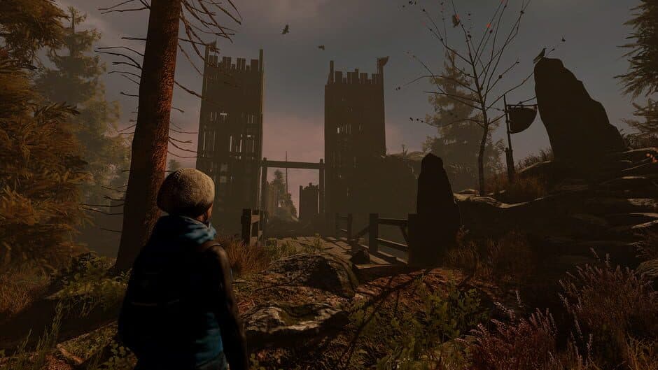 Скриншот 1 из Through the Woods: Collector's Edition