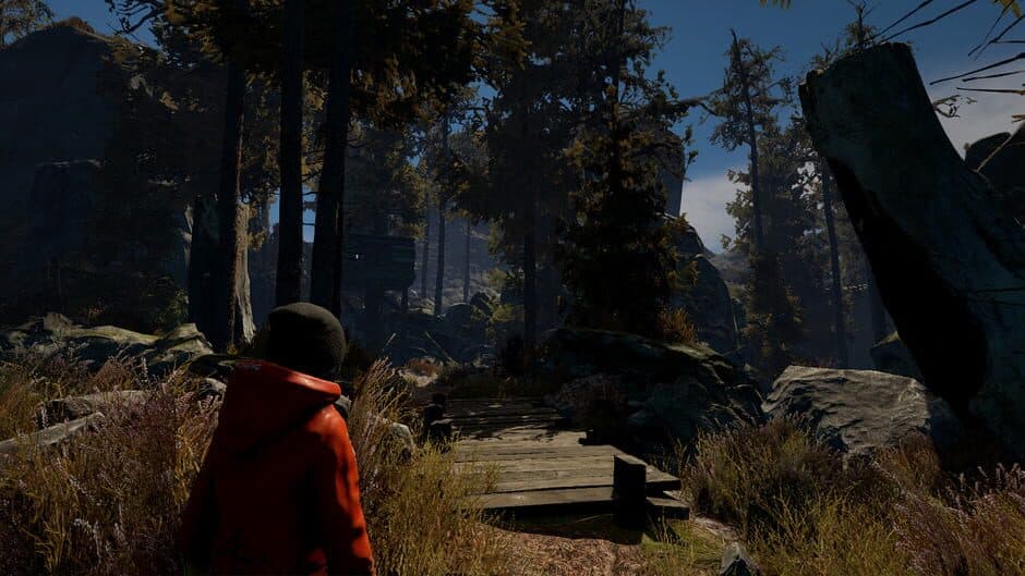 Скриншот 4 из Through the Woods: Collector's Edition
