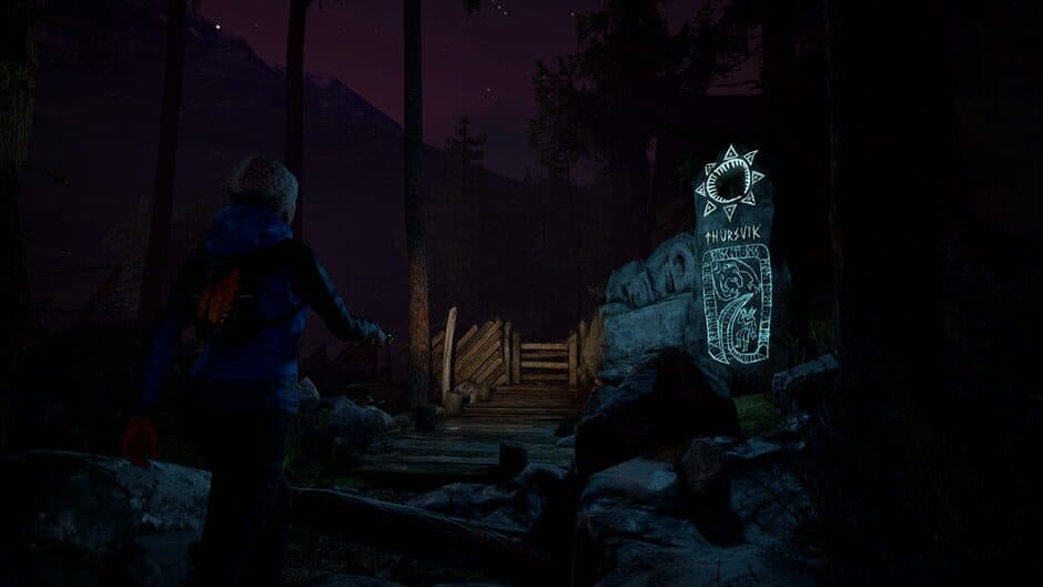 Скриншот 6 из Through the Woods: Collector's Edition