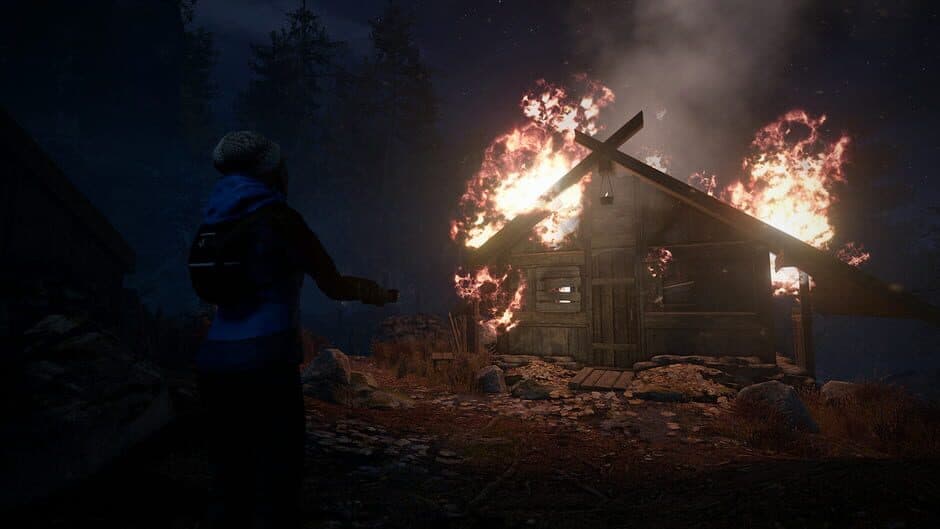 Скриншот 2 из Through the Woods: Collector's Edition