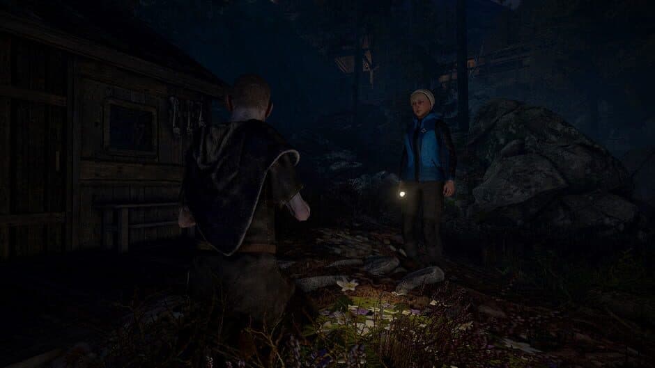 Скриншот 9 из Through the Woods: Collector's Edition