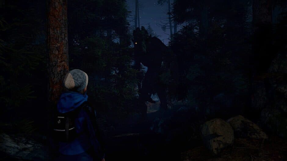 Скриншот 10 из Through the Woods: Collector's Edition