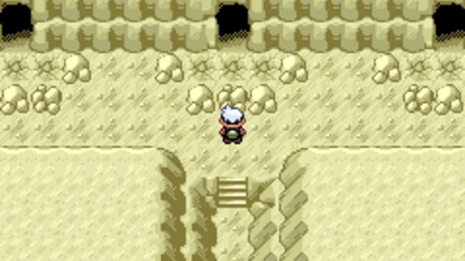 Скриншот 2 из Pokémon Revelation