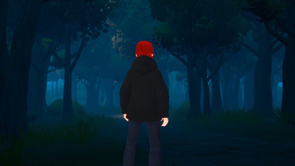 Скриншот 2 из A Midnight Village Story