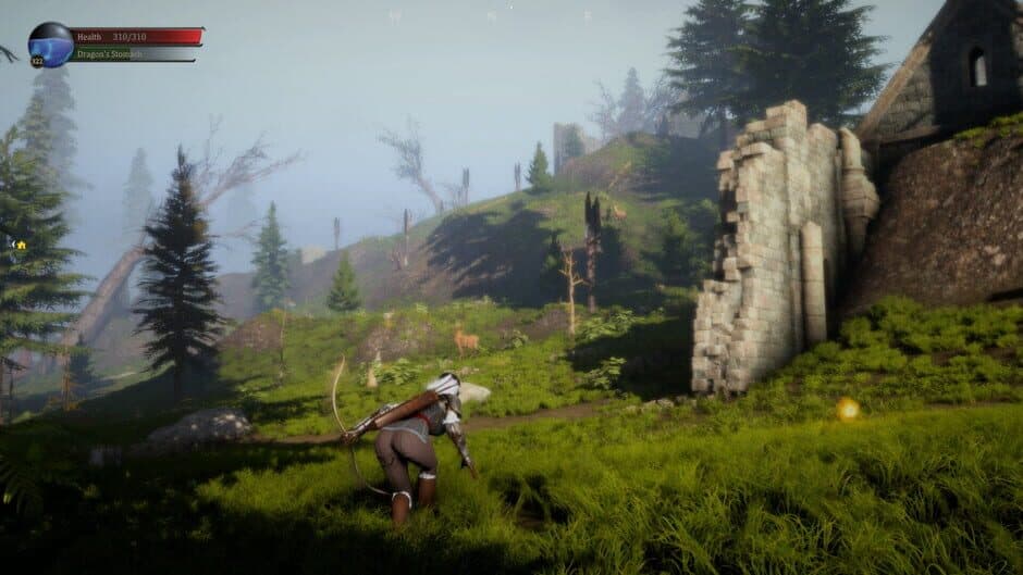 Скриншот 7 из Dragon & Archer
