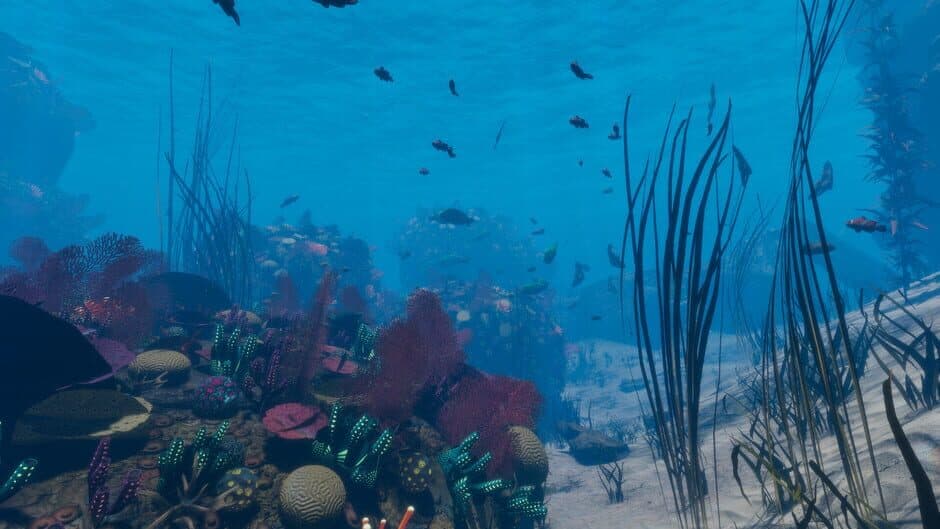Скриншот 7 из Sonorous: Deep Down Below