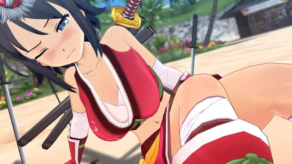 Скриншот 5 из Senran Kagura: Estival Versus - Splash Pack