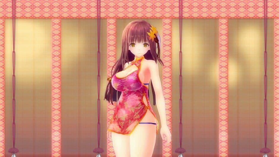 Скриншот 6 из Valkyrie Drive: Bhikkhuni - Complete DLC Pack