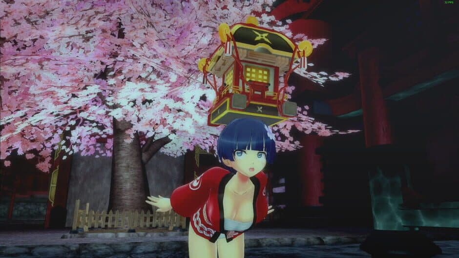 Скриншот 3 из Senran Kagura: Peach Beach Splash - Mega Accessory Pack