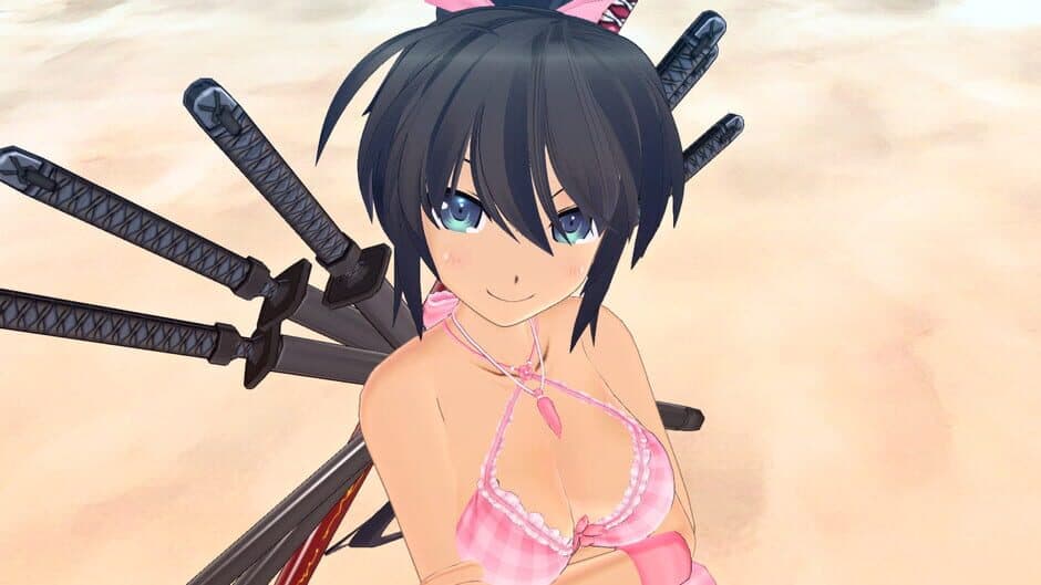 Скриншот 4 из Senran Kagura: Estival Versus - Surprise Pack
