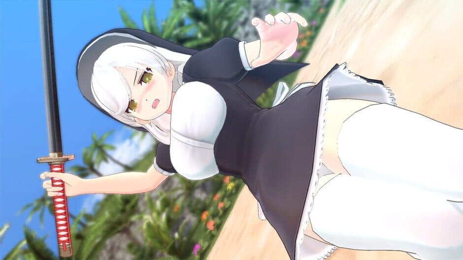 Скриншот 5 из Senran Kagura: Estival Versus - Surprise Pack