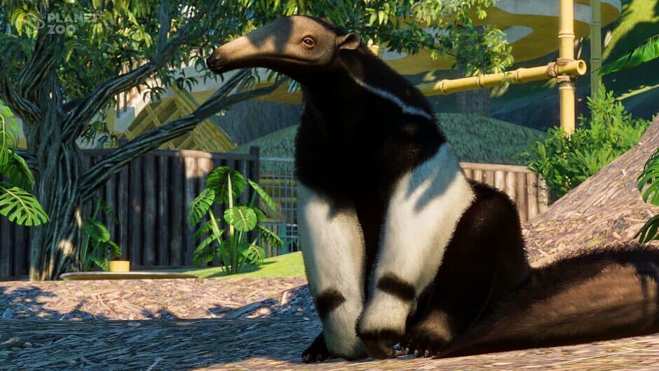 Скриншот 6 из Planet Zoo: South America Pack