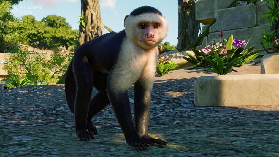 Скриншот 9 из Planet Zoo: South America Pack