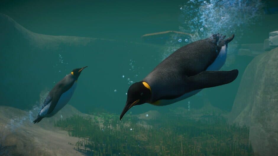 Скриншот 10 из Planet Zoo: Aquatic Pack