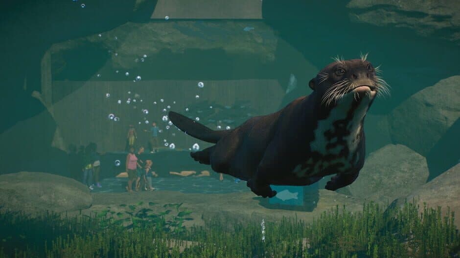Скриншот 3 из Planet Zoo: Aquatic Pack