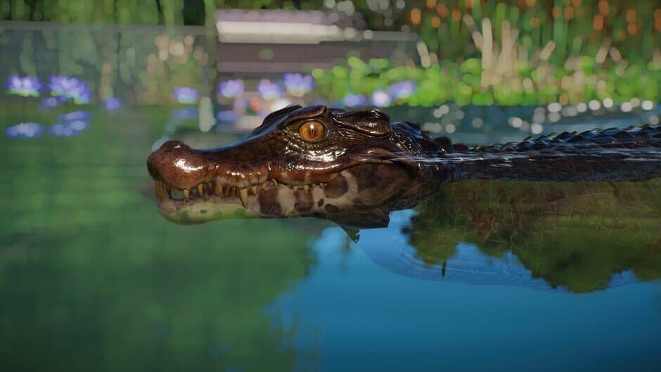 Скриншот 7 из Planet Zoo: Aquatic Pack