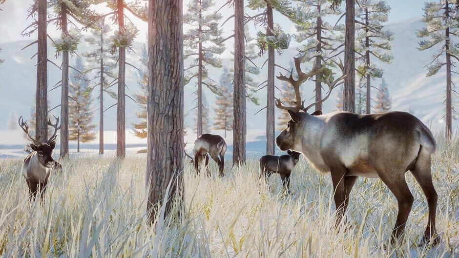 Скриншот 3 из Planet Zoo: Arctic Pack