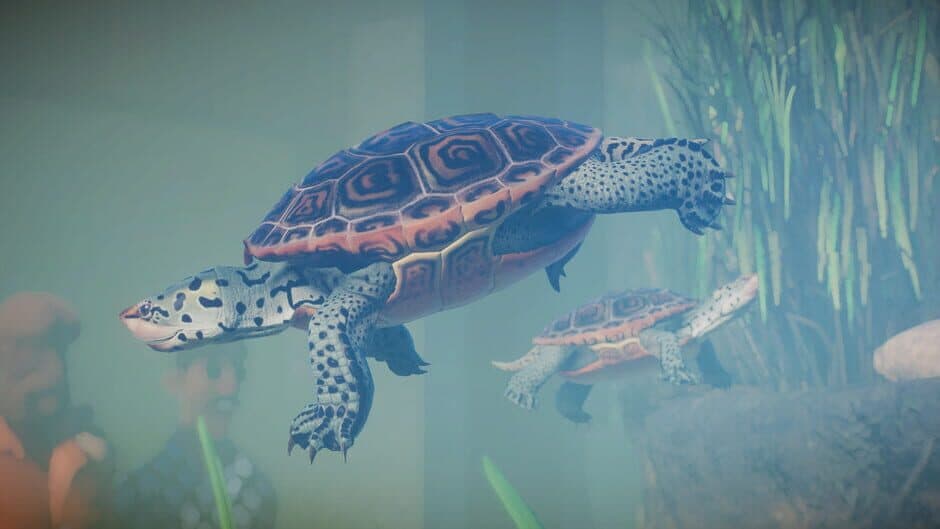 Скриншот 8 из Planet Zoo: Aquatic Pack