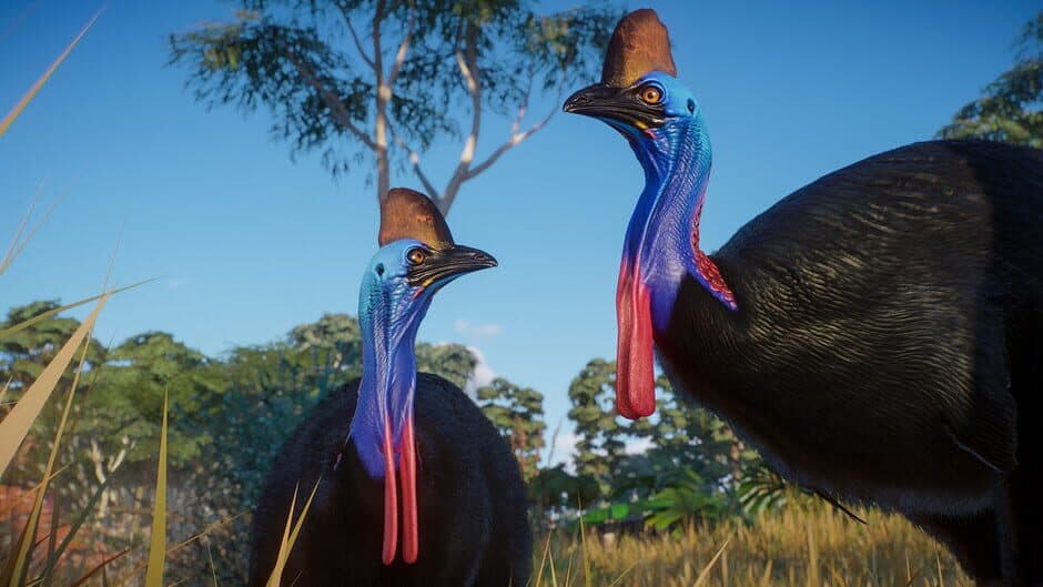 Скриншот 4 из Planet Zoo: Australia Pack