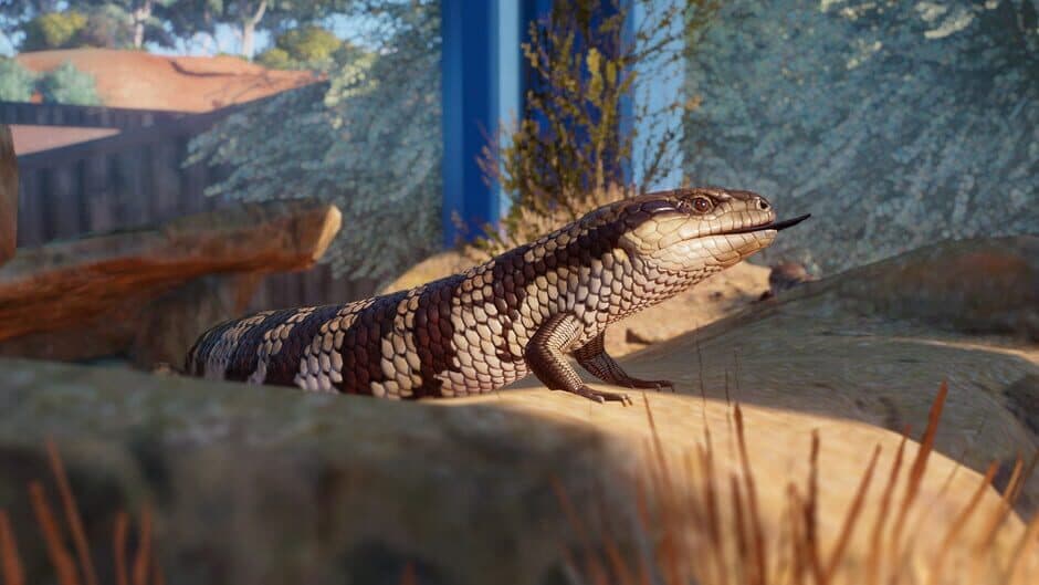 Скриншот 6 из Planet Zoo: Australia Pack