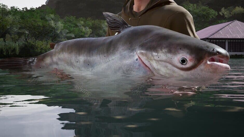 Скриншот 9 из Fishing Sim World: Pro Tour - Giant Carp Pack