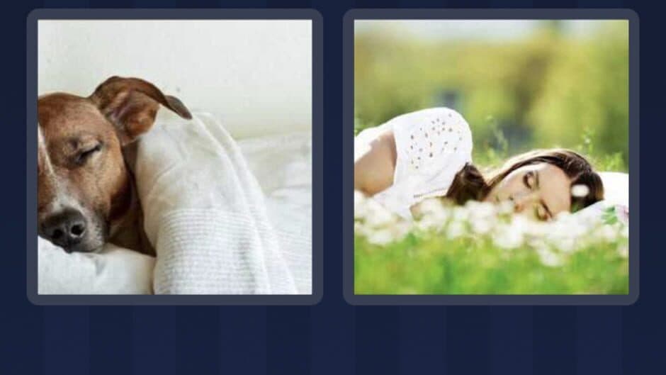 Скриншот 4 из 4 Pics 1 Word