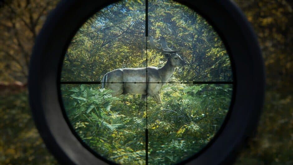 Скриншот 4 из TheHunter: Call of the Wild - Master Hunter Bundle