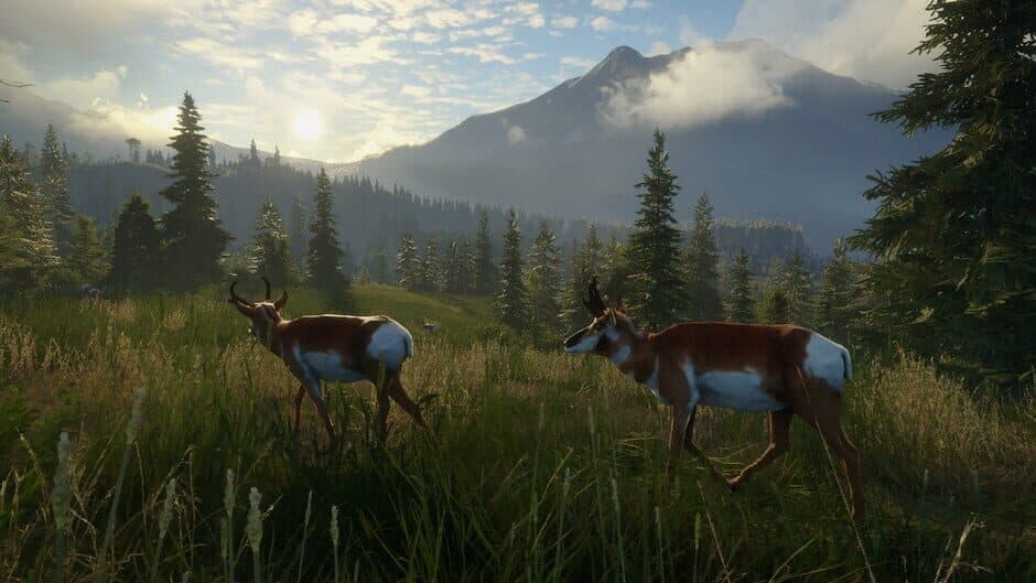 Скриншот 7 из TheHunter: Call of the Wild - Master Hunter Bundle
