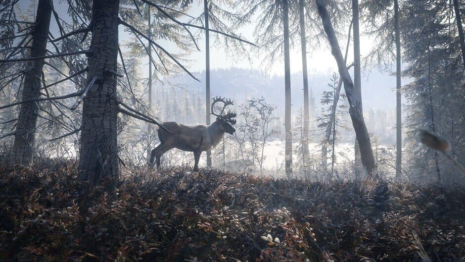 Скриншот 2 из TheHunter: Call of the Wild - Master Hunter Bundle