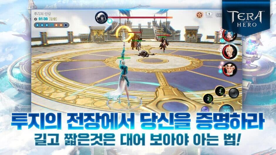 Скриншот 7 из Tera Hero