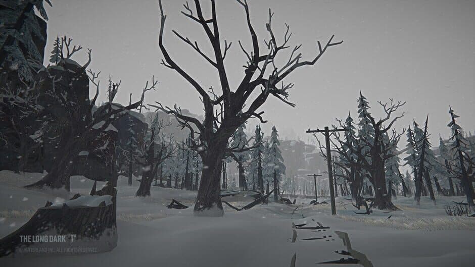 Скриншот 3 из The Long Dark: Tales from the Far Territory