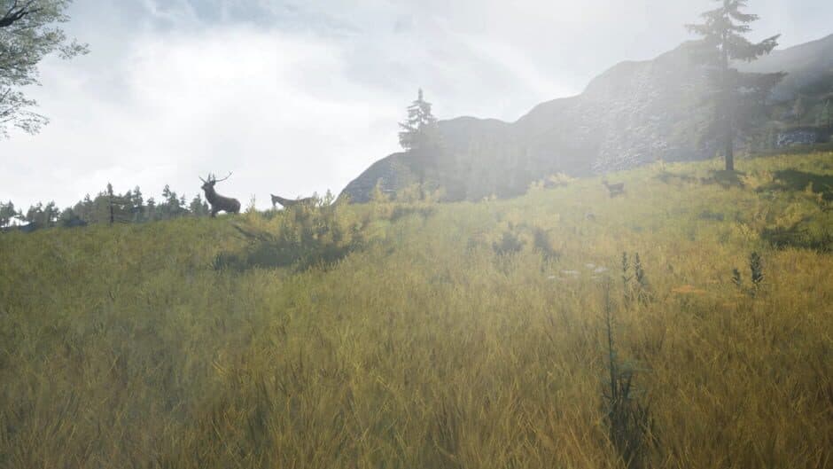 Скриншот 4 из DragonHill VR