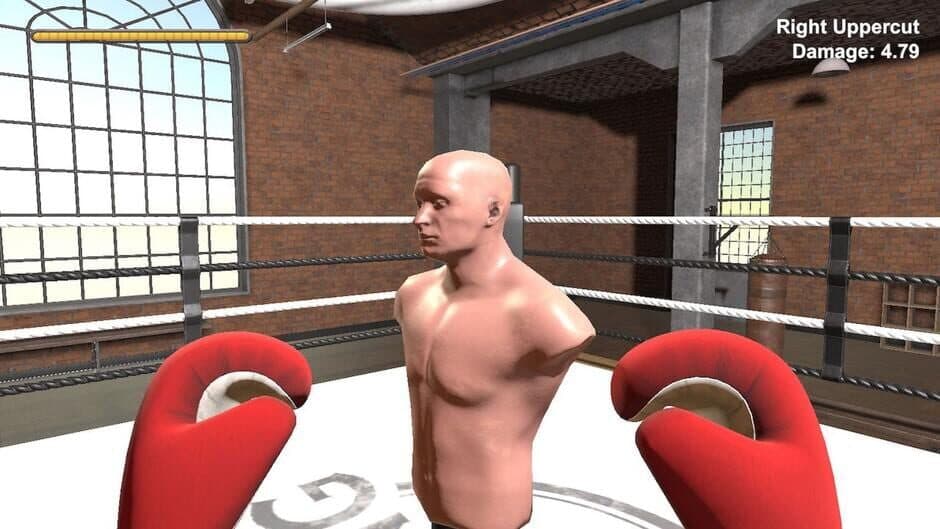 Скриншот 1 из Boxer