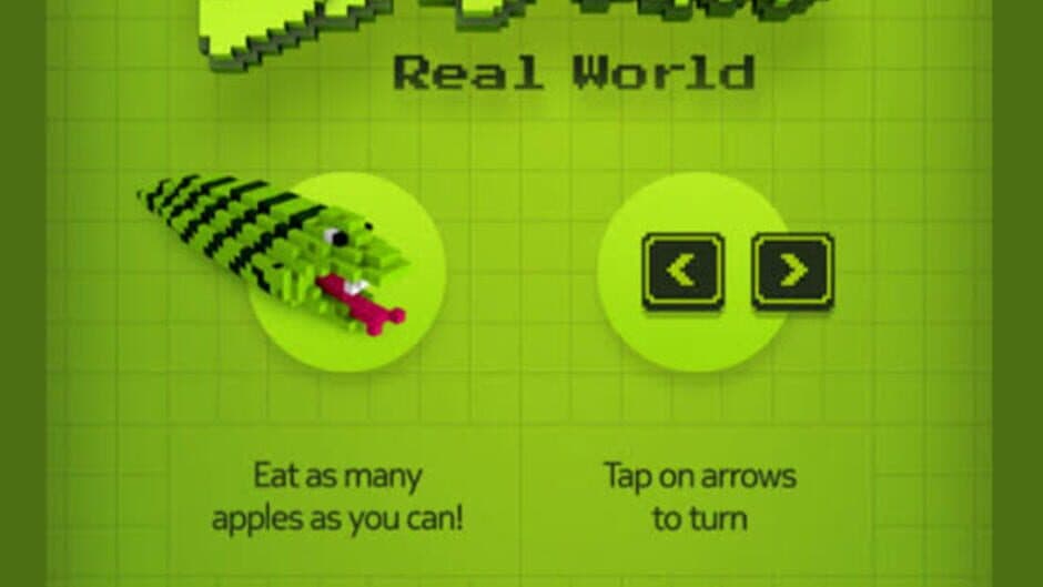 Скриншот 1 из Snake Real World